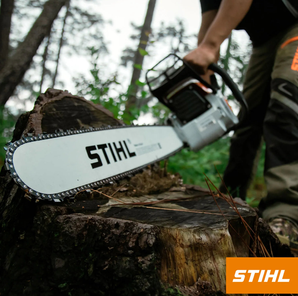 MOTOSIERRA STIHL MS250
